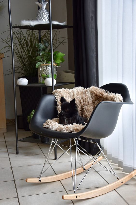a stylish nook with a black Eames rocking chair and beige faux fur plus a pup, potted plants and a tall storage unit