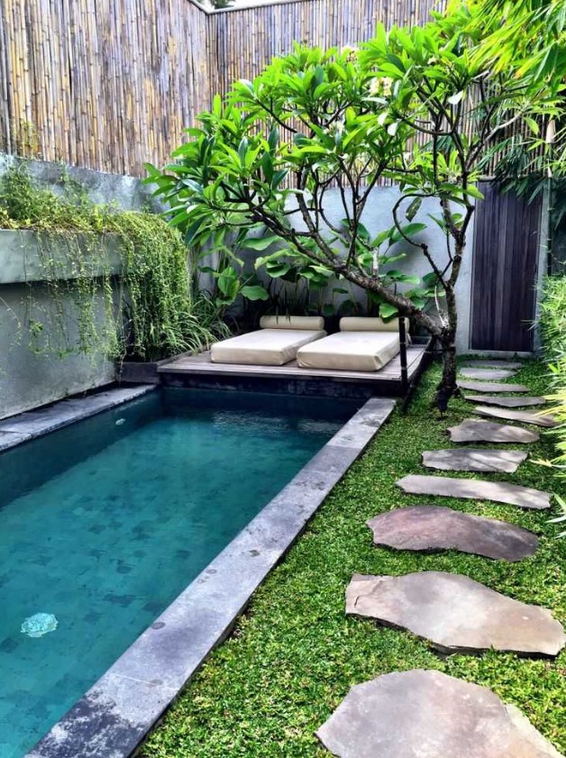 a gorgeous small backyard with a plunge pool, a living tree and some loungers, grass and stone tiles is welcoming and refreshing