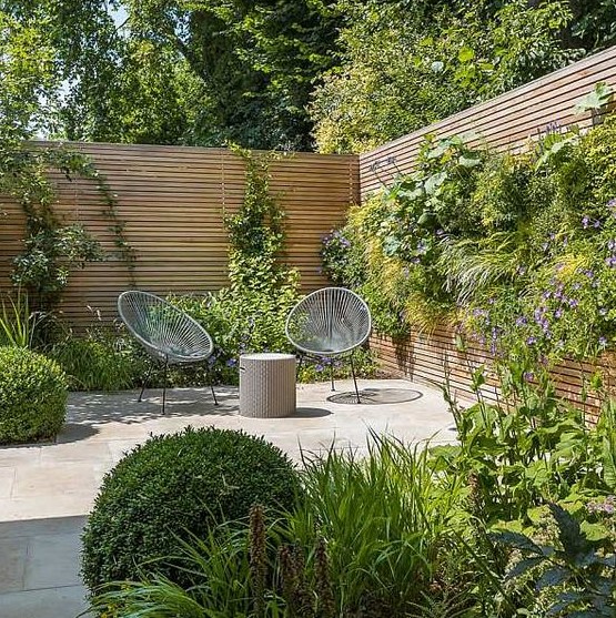 a small modern garden with lush grasses, some shrubs and some climbing greenery plus a whole living wall