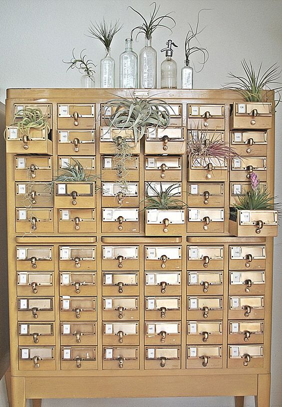 a light-stained card cabinet used as a storage unit and as a plant stand is a beautiful touch of vintage for any room