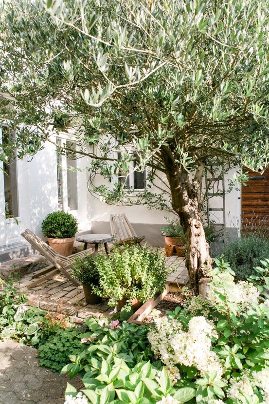 a small and cozy backyard with a brick clad space, some wooden chairs and lots of greenery and a tree around