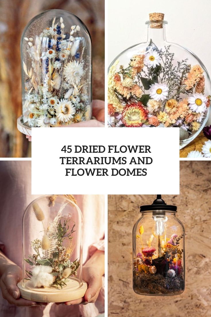 dried flower terrariums and flower domes