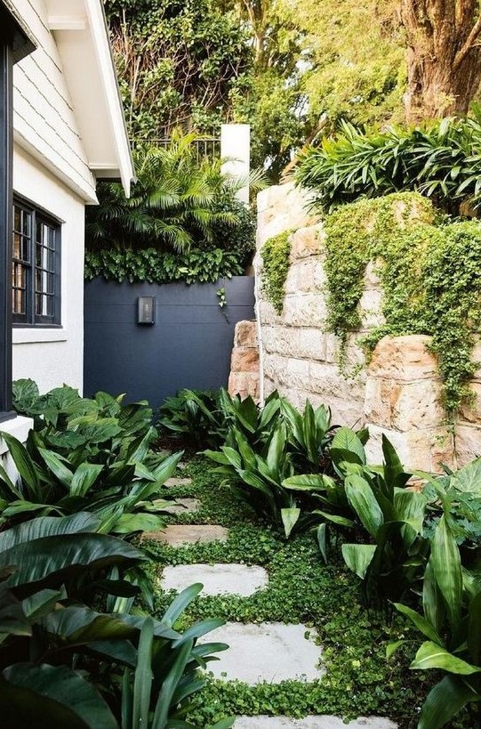 a small side modern garden nook with greenery, some lush tropical shrubs on both sides of the pavement