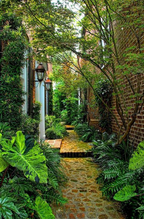 a moody side garden clad with stone and brick, with a lot of greenery, vines and some trees looks very elegant and a bit mysterious