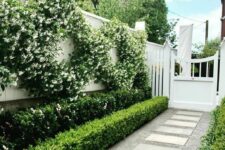 49 a polished side garden with greenery and shrubs, white blooming wreaths and a concrete tile pathway