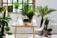 a tropical dining space with a light-stained table, white Eames chairs and lots of potted plants all over the space