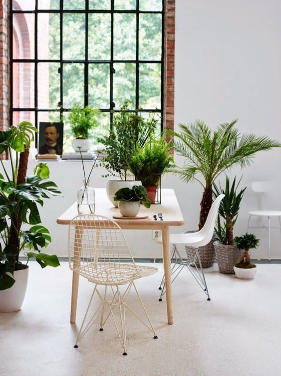 A tropical dining space with a light stained table, white Eames chairs and lots of potted plants all over the space