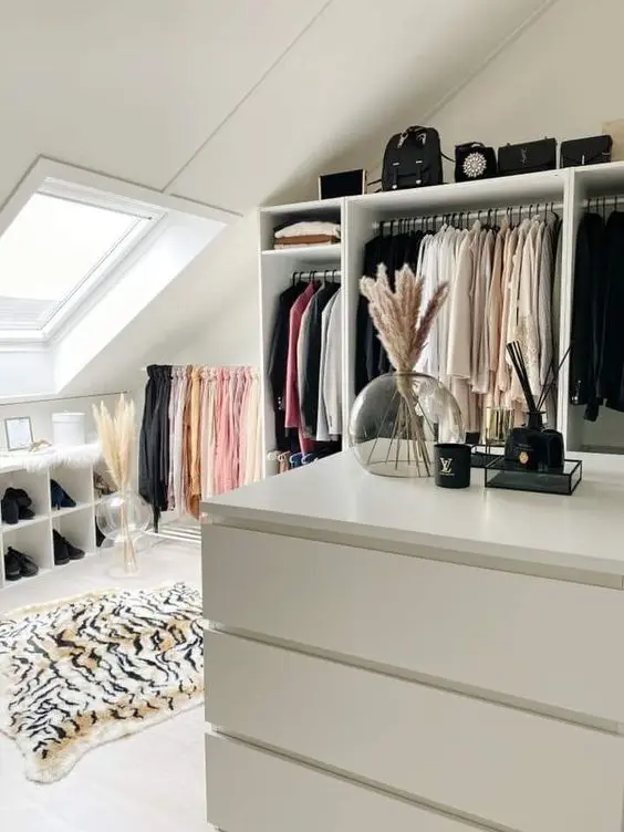 a Scandinavian attic closet with open storage compartments, dressers, shelves and some lovely decor is a cool and bold space