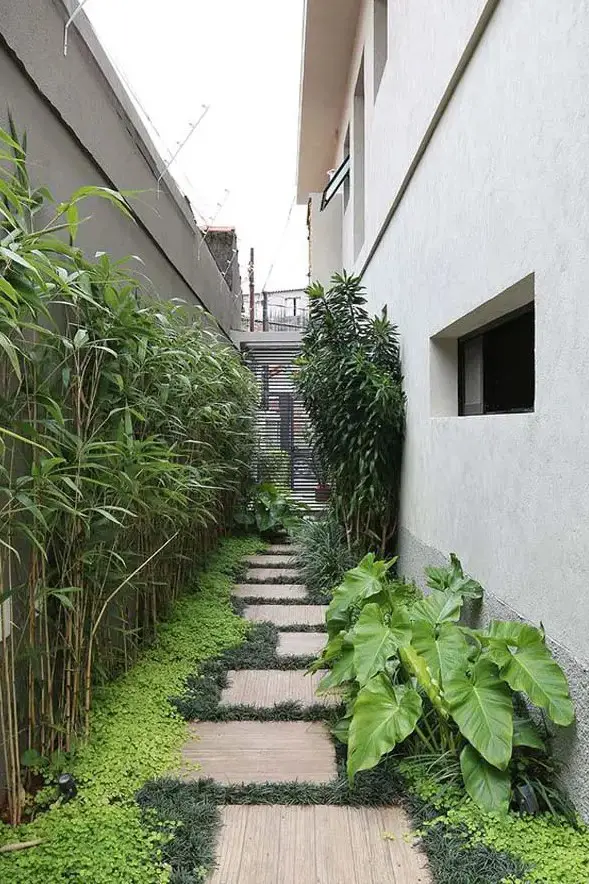 A  tropical inspired side yard with pavers and greenery, bamboo and greenery is a chic and fresh modern idea