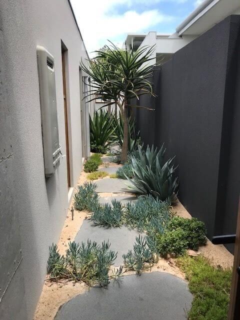 A desert style side yard with irregular stepping stones, greenery and succulents and a tree is a cool and modern solution