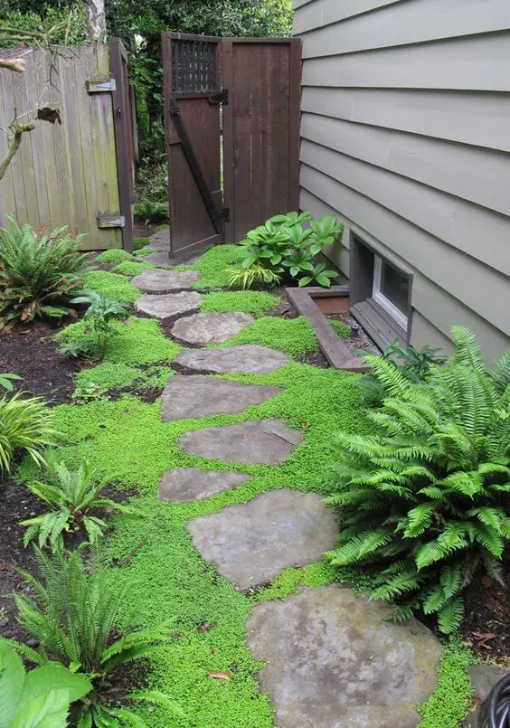 a little cozy side yard with an irregular stone path, greenery, moss and ferns is a great shadowy space to enjoy