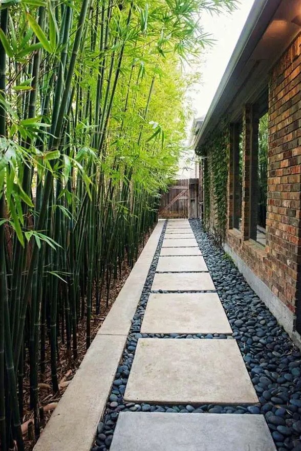 a long and narrow side yard with pebbles and pavements plus bamboo that lines up the path is a cool and chic space