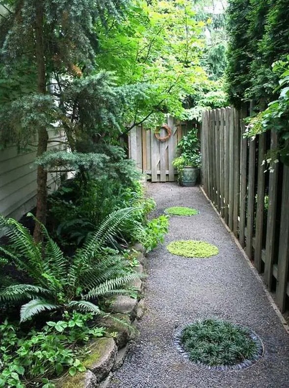 a low-maintenance side yard with gravel, greenery and fern plus trees that don't require much sunlight