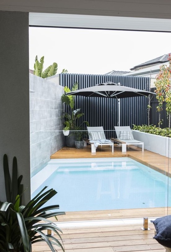 a modern backyard with a wooden deck, a plunge pool, some greenery and potted plants, loungers and an umbrella