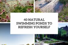 40 natural swimming ponds to refresh yourself cover