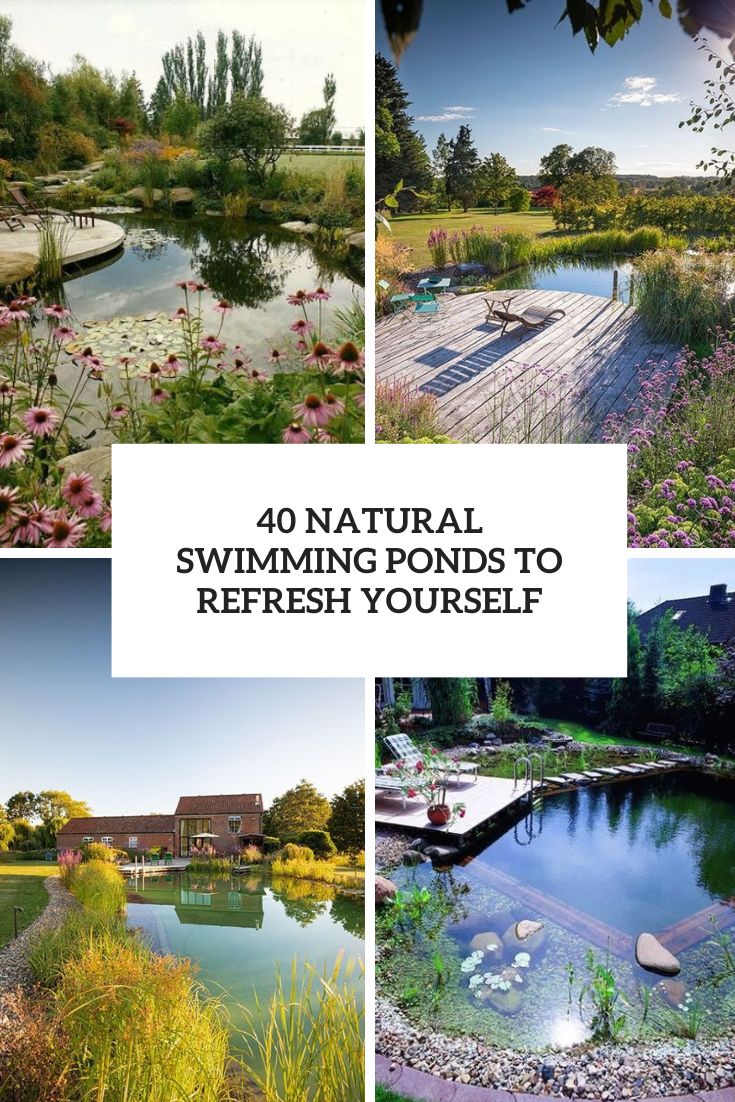 natural swimming ponds to refresh yourself