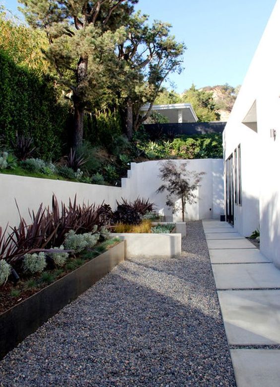 a modern and edgy side yard with a stone and gravel path, potted greenery and plants and a tree