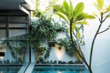 44 a small and minimalist outdoor space with a deck, a plunge pool with a glass fence around, some greenery and lights and a tree