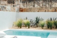 46 a small plunge pool with a staircase, some grasses growing by the pool and some blankets and pillows