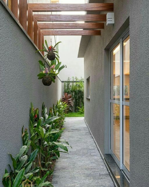 a small modern side yard with a concrete path, greenery and potted plants along the path is a stylishs pace