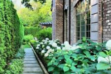 64 a tasteful side yard with a greenery wall, greenery and hydrangeas, a stone tile path is a lovely and elegant space
