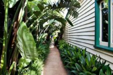 65 a tropical side yard with a lot of lush greenery and tropical plants is vibrant, lively and welcoming