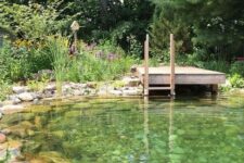 a beautiful and all-natural swimming pond with rocks inside, a rock border and a wooden deck plus a ladder