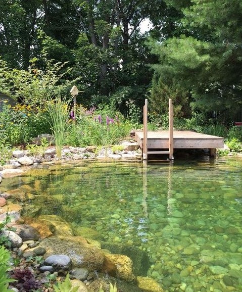 a beautiful and all-natural swimming pond with rocks inside, a rock border and a wooden deck plus a ladder