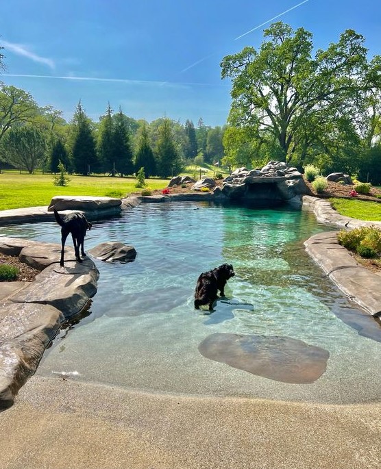 a large natural swimming pool clad with stone and with a small cave looks very cohesive in the space and is all cool for dogs and humans