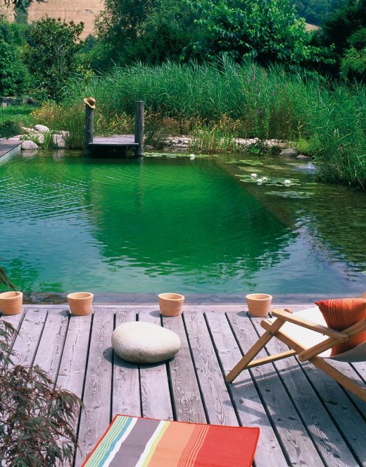 a lovely natural swimming pool with stone borders and water plants, a wooden deck with planters and a rock, some chairs and blooms