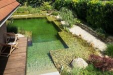 a modern yet natural-looking swimming pond with steps and water plants is a cool and chic idea to rock