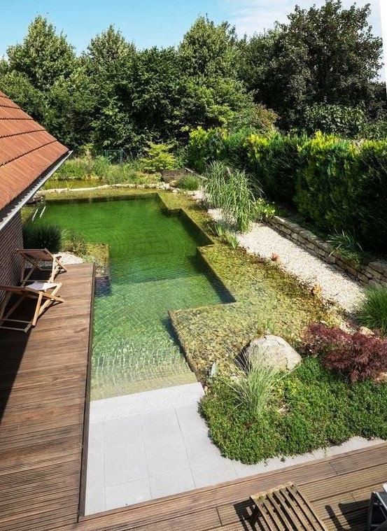 a modern yet natural-looking swimming pond with steps and water plants is a cool and chic idea to rock