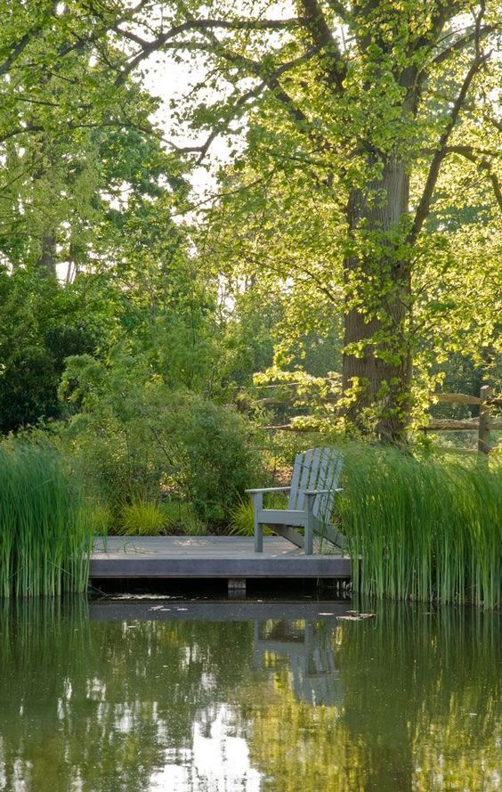 a natural swimming pond with water plants and a small wooden deck with a chair is a cool and pretty space to have a rest in