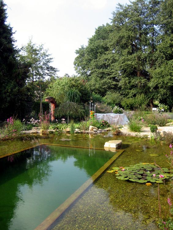 a natural swimming pool with a stone border, some pebbles and water plants, stones and rocks is a cool space for a refresh