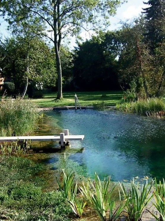 a pretty swimming pond with natural borders and a small deck plus a ladder is ideal for a garden