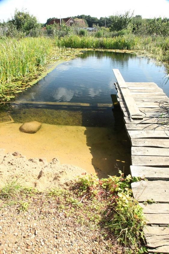 a simple organic swimming pond with water plants and rocks and a wooden deck is a cool and welcoming space