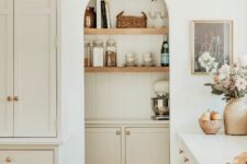 56 a white modern farmhouse kitchen with an arched niche that houses a pantry with shelves, a cabinet is a lovely idea that saves space