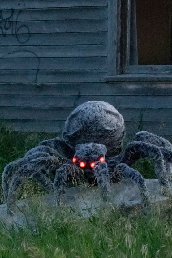 a giant and very spooky Halloween spider will isntantly turn your outdoor or indoor space in a scary one and will frighten everyone for sure