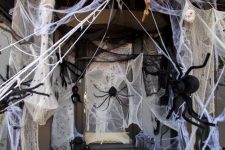 43 an entrance to the house completely covered with spiders all over and spiderweb looks really scary and Halloween-like
