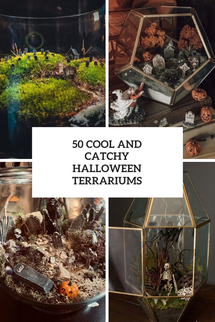 cool and catchy halloween terrariums