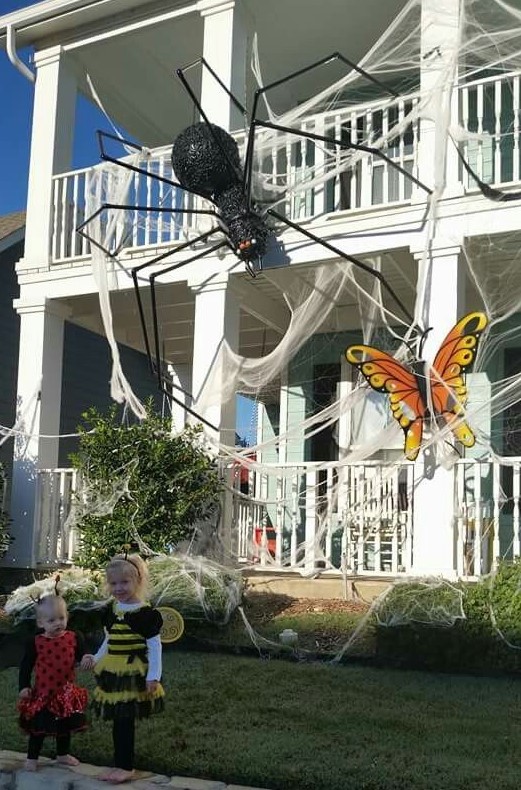 spiderweb, an oversized spider, a bold butterfly for styling a house for Halloween is a great idea to rock