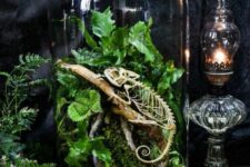 a catchy Halloween terrarium with moss, greenery and a skeleton of a chameleon is a creative and elegant solution