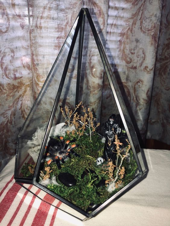 a cemetarrium with moss, pebbles, a spider, some skulls, mini trees and death is a cool idea for Halloween