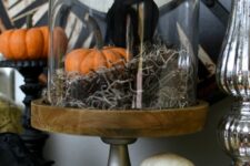 a cloche with moss, a pumpkin, a blackbird is a cool decoration for a Halloween mantel or an entryway console