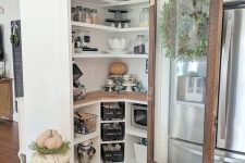 a cool and cozy smal pantry with built-in shelves and storage compartments, appliances, cookware and some decor