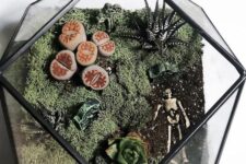 a creative cemetarium with moss, succulents, a skeleton and some stuff is a lovely Halloween decor idea