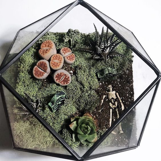 a creative cemetarium with moss, succulents, a skeleton and some stuff is a lovely Halloween decor idea