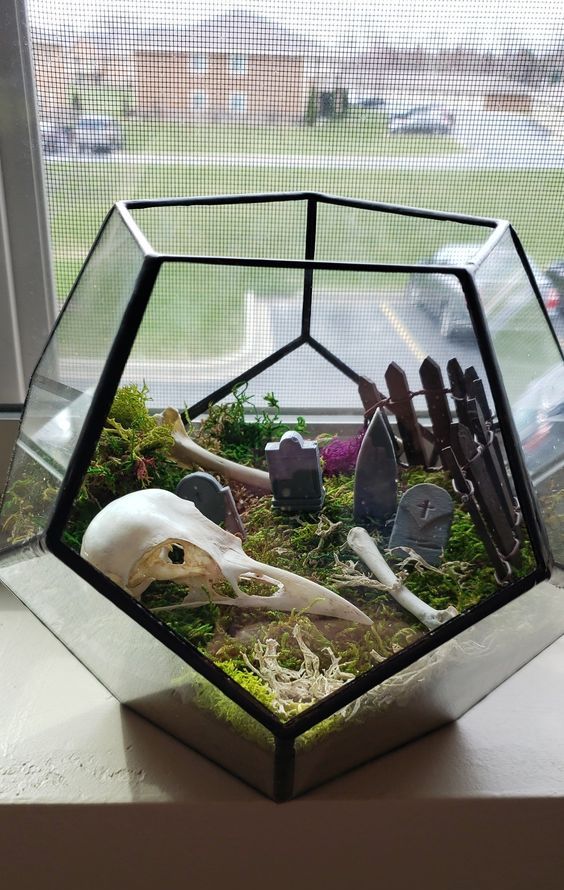 a faceted Halloween terrarium with moss, bones, tombstones, a bird skull is a cool and stylish decoration