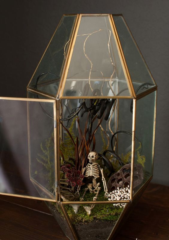 a mini Halloween terrarium with moss, fern, branches and twigs, a mini skeleton and a lotus slice is lovely