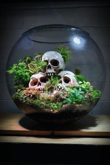 a simple Halloween terrarium with a lot of greenery, moss, pebbles and a trio of skulls is a stylish idea
